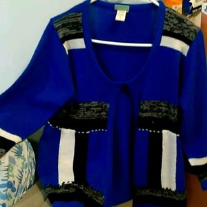 Sara Morgan sweater